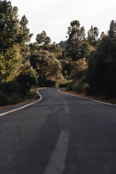 Ένας Άδειος Δρόμος Περιτριγυρισμένος Από Δέντρα — Φωτογραφία Αρχείου