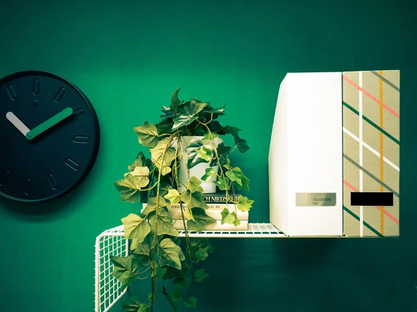 Interior View Plant Books Clock Hanging Green Wall — Stock Photo, Image