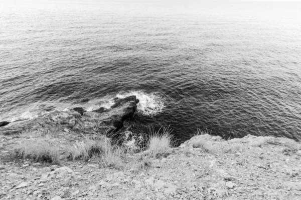 Primer Plano Naturaleza Del Mar Rocas Pequeñas Hierbas Playa Blanco — Foto de Stock