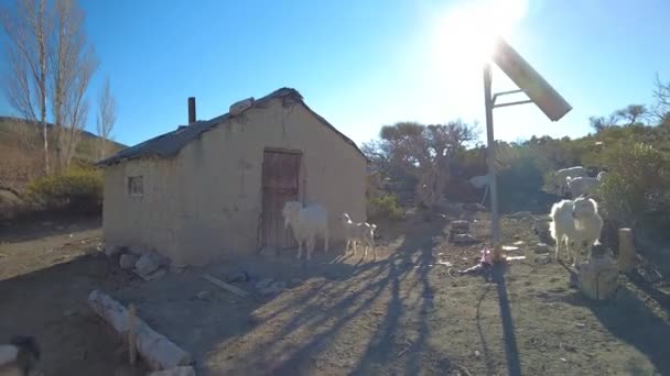 Gros Plan Une Belle Maison Abandonnée Dans Village — Video
