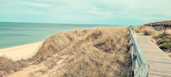 Une Promenade Bois Sur Une Côte Herbeuse Surélevée Sous Ciel — Photo