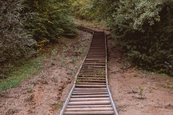 Houten Rails Een Bos — Stockfoto