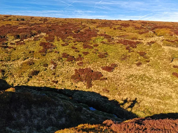 Une Vue Panoramique Champ Vert Orange Avec Une Ombre Personnes — Photo