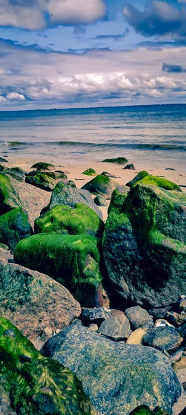 Primer Plano Una Roca Una Orilla Cubierta Algas Verdes Día — Foto de Stock