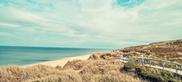 Vyvýšené Travnaté Pobřeží Dřevěnou Promenádou Pod Zataženou Oblohou — Stock fotografie