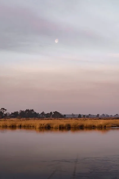 Gün Batımında Kırsal Alanlarla Çevrili Bir Nehir Göl Dikey Görüntüsü — Stok fotoğraf