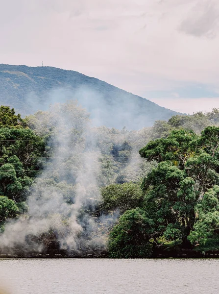 Tiro Vertical Fumaça Subindo Selvas Tropicais — Fotografia de Stock