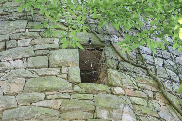 Küçük Pencereli Eski Bir Taş Binanın Alçak Açılı Görüntüsü — Stok fotoğraf