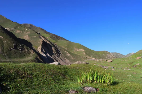 Cielo Azzurro Limpido Sulle Verdi Montagne Una Giornata Sole — Foto Stock