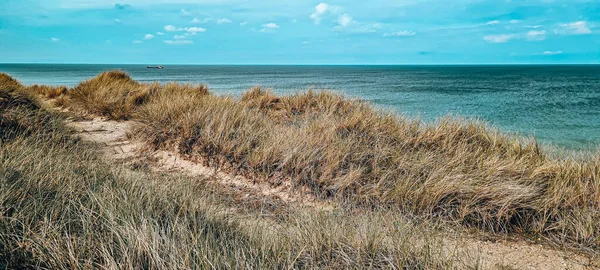 Eine Erhöhte Grasbewachsene Küste Mit Einem Schmalen Pfad Entlang Eines — Stockfoto