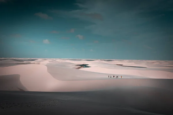 햇빛에 사막의 아름다운 — 스톡 사진
