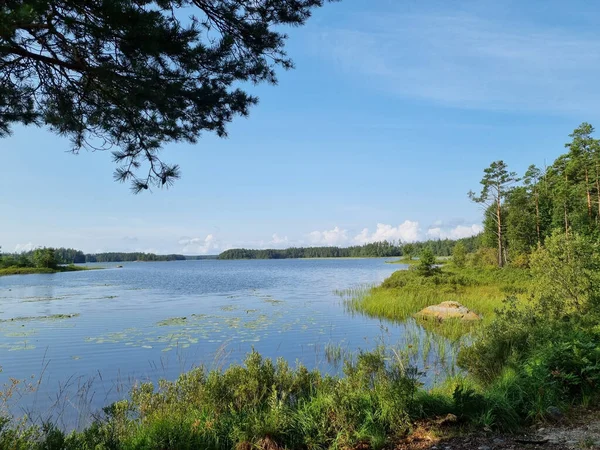 Дивовижний Вид Спокійне Озеро Оточене Деревами Під Блакитним Небом — стокове фото