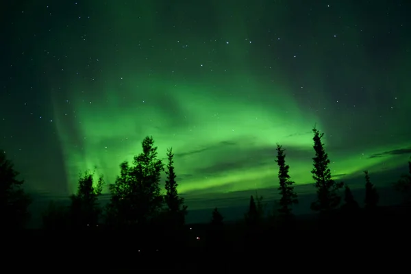 Een Natuurlijke Lichtweergave Van Aurora Met Dynamische Patronen Van Briljante — Stockfoto