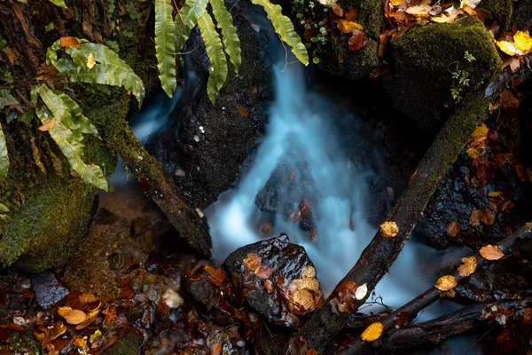 Проточная Вода Скалистых Водопадах Многими Опавшими Сушеными Листьями — стоковое фото