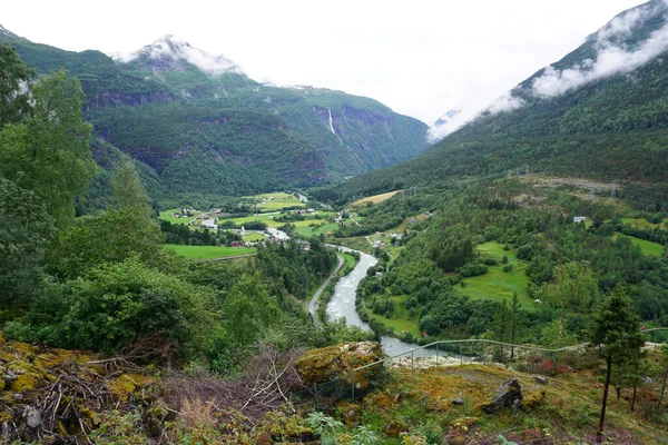 ノルウェーの緑に囲まれた川の美しい景色 — ストック写真