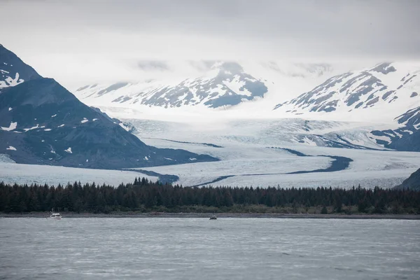 Vacker Bild Snötäckta Berg Alaska — Stockfoto