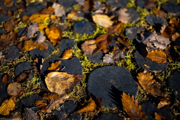 Падшие Сушеные Листья Деревянном Тротуаре Парка — стоковое фото