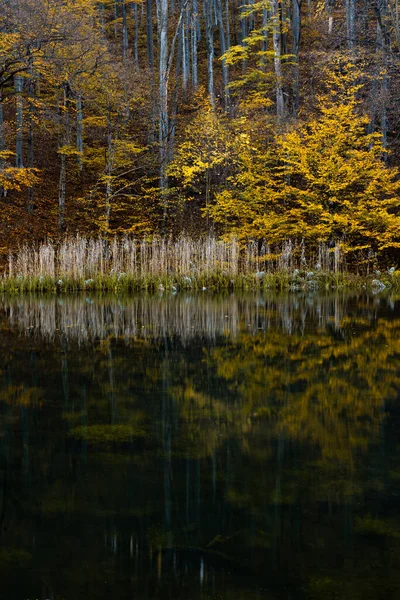 Hermoso Paisaje Otoñal Junto Lago — Foto de Stock