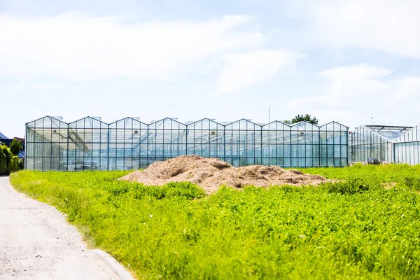 Ein Gewächshaus Auf Der Grünen Wiese Sommer — Stockfoto