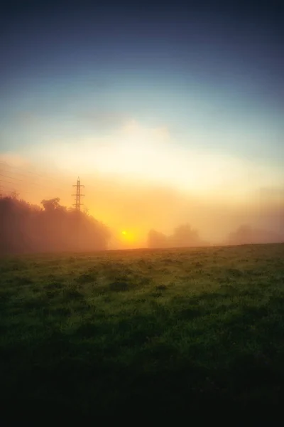 Vertical Shot Fresh Green Grass Field Scenic Sunset — Stock Photo, Image