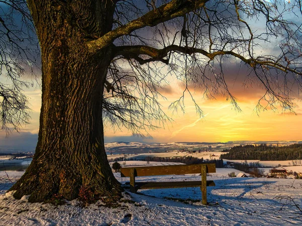 Cielo Del Tramonto Sul Campo Coperto Neve Inverno — Foto Stock