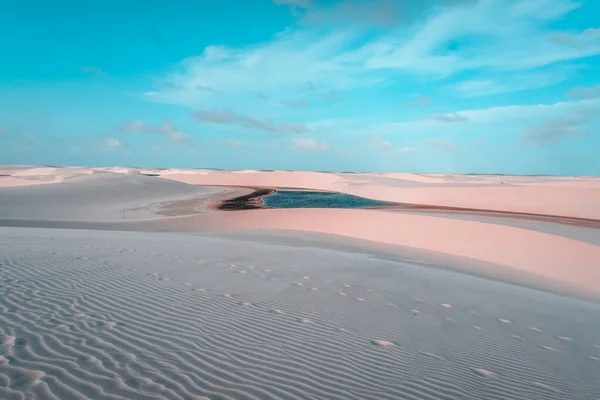 Beautiful View Desert Sand Dunes Sunlight — Stock Photo, Image