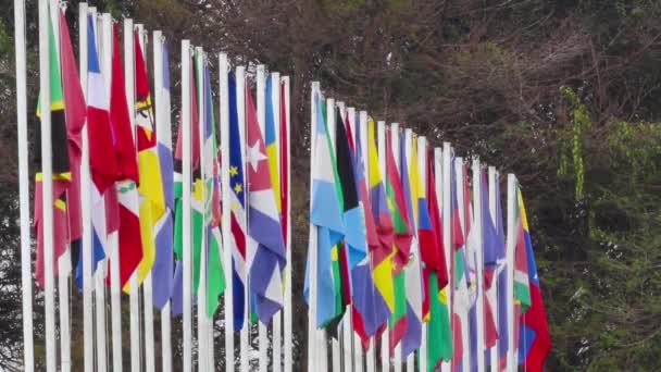 Banderas Diferentes Países Pared — Vídeo de stock