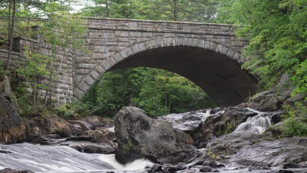Brücke Über Den Fluss Park — Stockvideo
