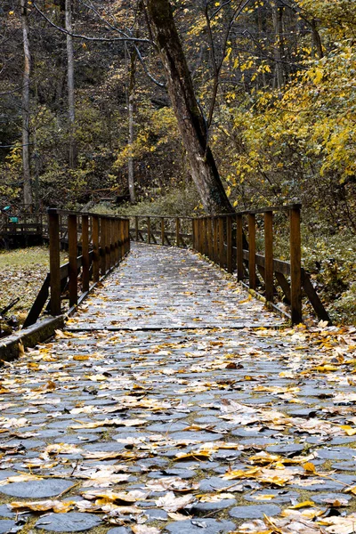 秋の園内には紅葉の木橋が架かっている — ストック写真