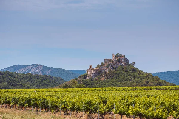 Groene Wijngaarden Rond Vaison Romaine Frankrijk — Stockfoto