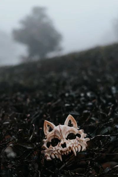 Een Verticaal Schot Van Een Masker Ziet Eruit Als Een — Stockfoto