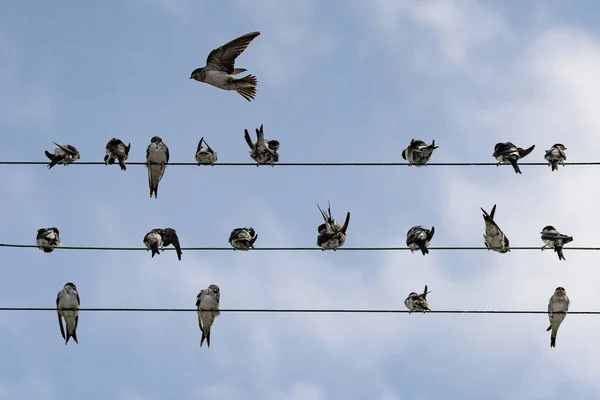 波は空を背景にワイヤーにぶつかった — ストック写真