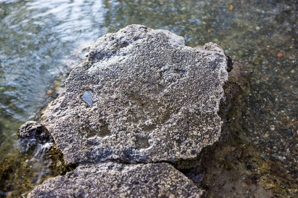 海岸上的石头堆 — 图库照片