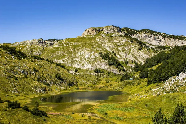 Paisaje Tranquilo Una Cordillera Verde Luz Del Sol — Foto de Stock