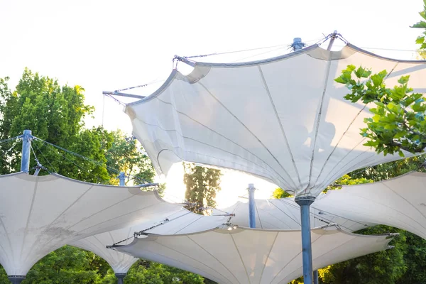 Een Shot Van Witte Luifel Paraplu Tussen Bomen Onder Zonnelicht — Stockfoto