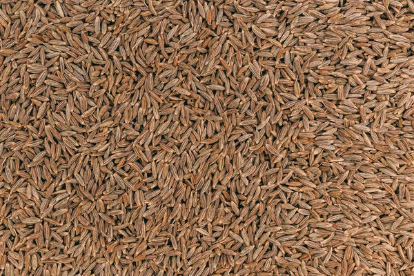 Une Vue Dessus Des Graines Cumin Bio Séchées Pour Fond — Photo