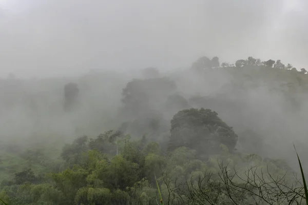Uma Bela Foto Uma Paisagem Natural Dia Nublado — Fotografia de Stock