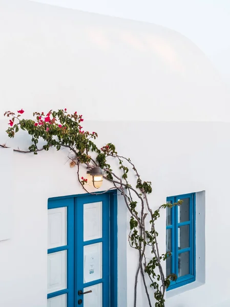 Die Kletternden Blütenpflanzen Über Den Blauen Fenstern Eines Weißen Gebäudes — Stockfoto