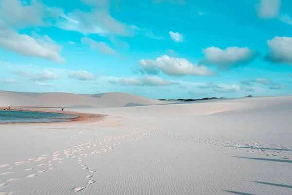 Una Splendida Vista Deserto Con Dune Sabbia Alla Luce Del — Foto Stock