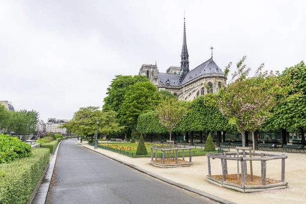 美しい緑の木々の後ろにある有名なノートルダム パリの景色 — ストック写真