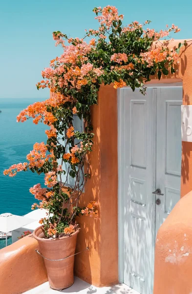 Plano Vertical Entrada Edificio Con Flores Santorini Grecia —  Fotos de Stock