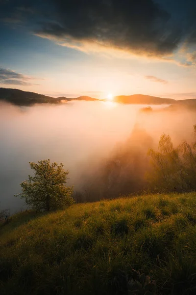 在白雾笼罩的高山上美丽的日出 — 图库照片