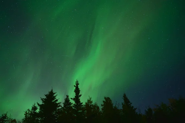 Naturlig Ljusvisning Norrsken Med Dynamiska Mönster Lysande Ljus — Stockfoto