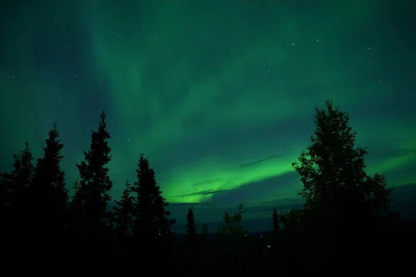 Μια Επίδειξη Φυσικού Φωτός Του Aurora Δυναμικά Μοτίβα — Φωτογραφία Αρχείου