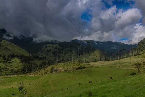 Beautiful Shot Natural Landscape Cloudy Day — Stock Photo, Image