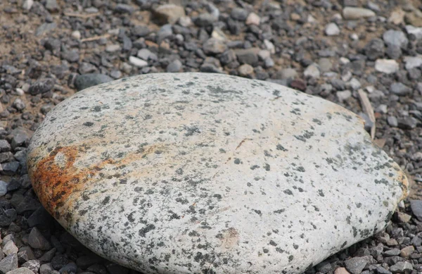 Крупный План Большого Куска Грязного Камня Пятнами Пляже — стоковое фото