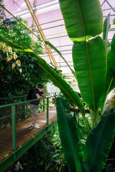 Leiden Hollandia 2021 Augusztus Leideni Naturalis Biodiverzitás Központ Múzeum Kortárs — Stock Fotó