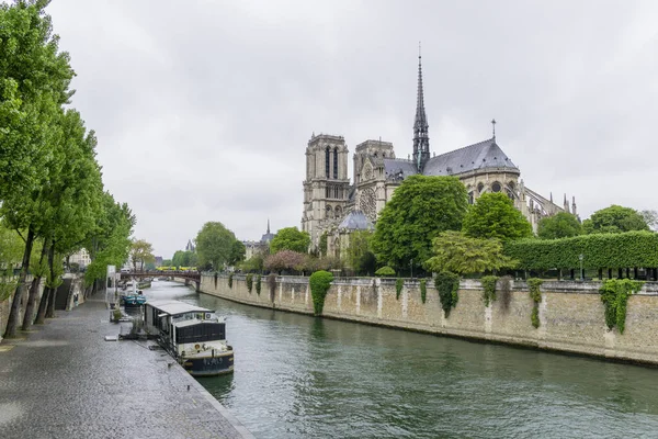 Piękny Widok Rzekę Słynnym Notre Dame Paris Tle — Zdjęcie stockowe