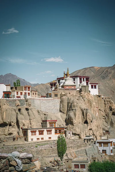 Leh Hindistan Daki Thiksey Manastırı Nın Dikey Görüntüsü — Stok fotoğraf