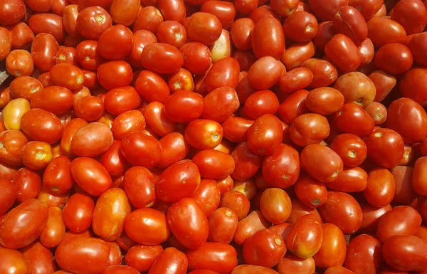 Primer Plano Tomates Rojos — Foto de Stock